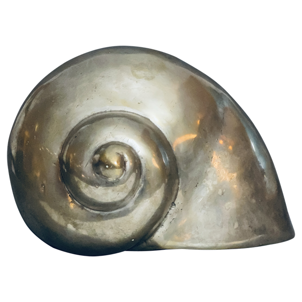 Muschel
