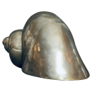 Muschel