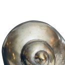 Muschel