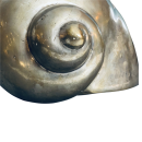 Muschel