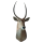 Wasserbock Trophäe