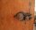 Schrank