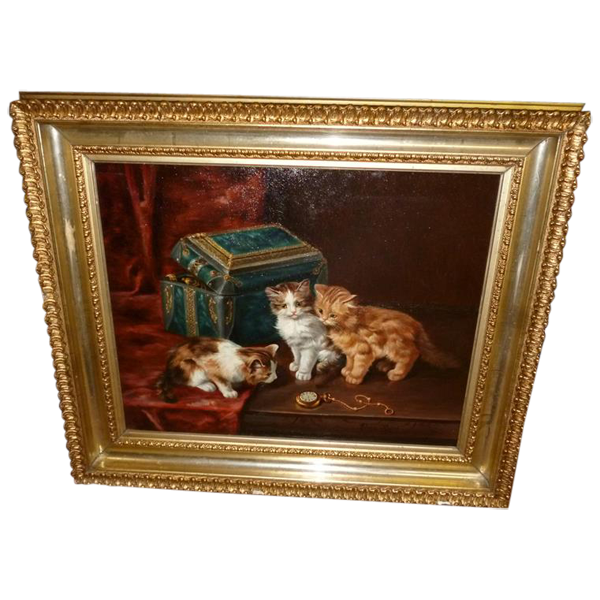 Bild Katzen