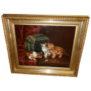 Bild Katzen
