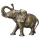 Elefant