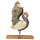 Pfauen Paar